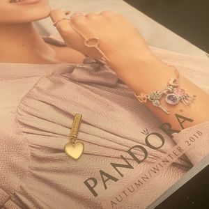 Hearth Pandora Reflection Charm